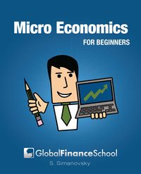 Microeconomics for beginners
