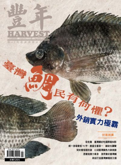 豐年 114/07/15 [第75卷7期]:臺灣鯛民有何懼? 外銷實力極霸