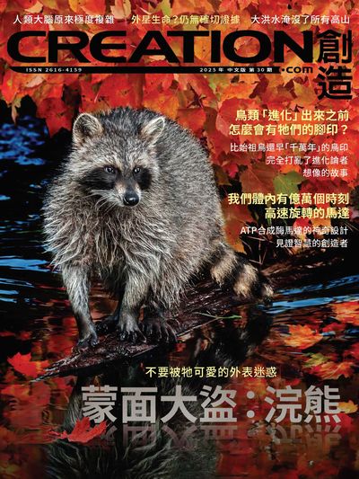 創造雜誌Creation