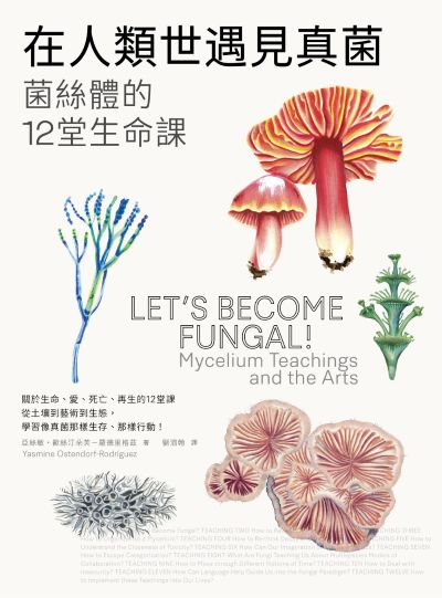 在人类世遇见真菌:菌丝体的12堂生命课